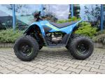 Klikněte pro detailní foto č. 2 - CFMOTO Gladiator X110 LE AKCE