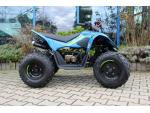 Klikněte pro detailní foto č. 5 - CFMOTO Gladiator X110 LE AKCE