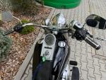 Klikněte pro detailní foto č. 9 - Harley-Davidson FLSTCI Heritage Softail Classic