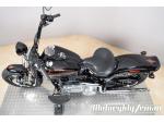 Klikněte pro detailní foto č. 13 - Harley-Davidson FLSTSB Softail Cross Bones 2008