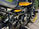 Klikněte pro detailní foto č. 7 - Royal Enfield Himalayan