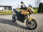 Klikněte pro detailní foto č. 2 - Triumph Tiger 1050