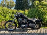 Klikněte pro detailní foto č. 6 - Harley-Davidson XL 1200N Sportster 1200 Nightster
