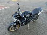 Klikněte pro detailní foto č. 8 - Triumph Street Triple 675 R 1. MAJ