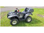 Klikněte pro detailní foto č. 1 - Honda TRX 650 RINCON