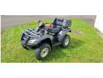 Klikněte pro detailní foto č. 2 - Honda TRX 650 RINCON