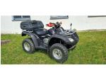 Klikněte pro detailní foto č. 3 - Honda TRX 650 RINCON