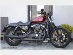 Detail nabídky - Harley-Davidson XL 883N Sportster Iron Hard Candy  1.800 km