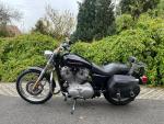 Klikněte pro detailní foto č. 6 - Harley-Davidson XL 883 C Sportster Custom