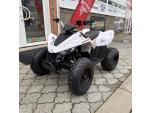 Klikněte pro detailní foto č. 3 - Linhai Dětská čtyřkolka ATV 110 Junior, 5 LET ZÁRUKA, NOVINKA