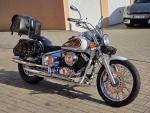 Klikněte pro detailní foto č. 3 - Yamaha XVS 650 DragStar, brašny