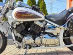 Klikněte pro detailní foto č. 9 - Yamaha XVS 650 DragStar, brašny