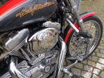 Klikněte pro detailní foto č. 10 - Harley-Davidson XL883C Sportster Custom