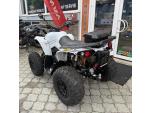 Klikněte pro detailní foto č. 5 - CAN-AM Renegade 650 XXC, AKCE VÝBAVA v celkové hodnotě Kč 13.490,-