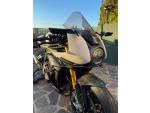 Klikněte pro detailní foto č. 2 - Triumph Speed Triple 1200 RR