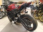 Klikněte pro detailní foto č. 8 - Triumph Street Triple 765 RS MY2024 KRÁSNÝ STAV+SUPER CENA