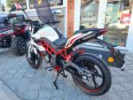 Klikněte pro detailní foto č. 10 - Benelli BN 125, ZÁRUKA 4 ROKY, nový model Euro 5+