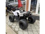 Klikněte pro detailní foto č. 11 - Linhai Dětská čtyřkolka ATV 110 Junior, 5 LET ZÁRUKA, NOVINKA