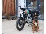 Klikněte pro detailní foto č. 8 - Royal Enfield Royal Enfield Interceptor 650 Twin