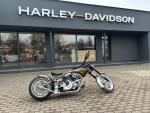 Detail nabídky - Harley-Davidson Custom - Built Softail