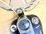 Klikněte pro detailní foto č. 11 - Harley-Davidson FLSTF Softail Fat Boy