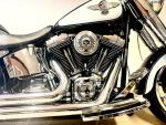 Klikněte pro detailní foto č. 4 - Harley-Davidson FLSTF Softail Fat Boy
