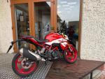 Klikněte pro detailní foto č. 2 - BMW G 310 R / odpočet DPH / 2024