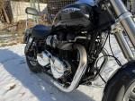 Klikněte pro detailní foto č. 3 - Triumph America