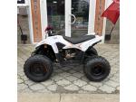 Klikněte pro detailní foto č. 4 - Linhai Dětská čtyřkolka ATV 110 Junior, 5 LET ZÁRUKA, NOVINKA