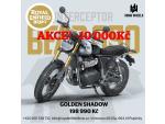 Klikněte pro detailní foto č. 1 - Royal Enfield Bear 650 Golden Shadow