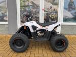 Detail nabídky - Linhai ATV 110