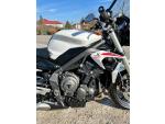 Klikněte pro detailní foto č. 6 - Triumph Street Triple 765 S
