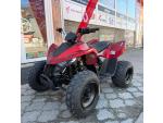 Klikněte pro detailní foto č. 4 - Linhai Dětská čtyřkolka ATV 110 Junior, 5 LET ZÁRUKA, NOVINKA
