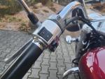 Klikněte pro detailní foto č. 11 - Honda VT 750 C4 Shadow - TOP STAV + VÝBAVA 1. MAJITEL, 21 000 KM