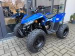 Klikněte pro detailní foto č. 6 - Linhai ATV 110 4X2 EFI CE