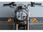 Klikněte pro detailní foto č. 11 - Royal Enfield Classic 350 Medallion Brown ( odpočet DPH )