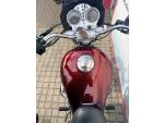 Klikněte pro detailní foto č. 8 - Moto Guzzi Nevada 750