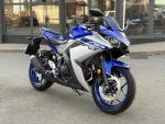 Klikněte pro detailní foto č. 1 - Yamaha YZF-R3 / 3 961 km / servis
