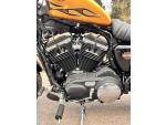 Klikněte pro detailní foto č. 13 - Harley-Davidson XL 883N Sportster Iron