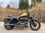 Klikněte pro detailní foto č. 3 - Harley-Davidson XL 883N Sportster Iron