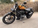 Klikněte pro detailní foto č. 4 - Harley-Davidson XL 883N Sportster Iron