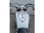 Klikněte pro detailní foto č. 7 - Yamaha XV 1600 Wild Star, po velkém servisu