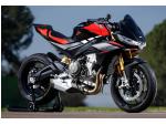 Klikněte pro detailní foto č. 8 - Aprilia Tuono 660 Factory EU 5+, AKCE 4 ROKY ZÁRUKA,Skladem