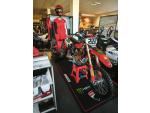 Klikněte pro detailní foto č. 3 - Ducati DESMO 450 MX Cairoli Design