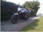 Klikněte pro detailní foto č. 6 - Suzuki GSF 650