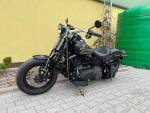 Klikněte pro detailní foto č. 12 - Harley-Davidson FLSTSB Softail Cross Bones