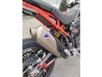 Klikněte pro detailní foto č. 8 - Ducati DesertX, ČR, DESMO, TERMIGNONI, POLEP, ZÁRUKA