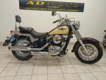 Klikněte pro detailní foto č. 1 - Kawasaki VN 800 Classic
