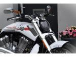 Klikněte pro detailní foto č. 11 - Harley-Davidson VRSCF V-Rod Muscle Olaf Pugner Design  CZ původ