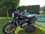 Klikněte pro detailní foto č. 2 - Triumph Bonneville T 120 (2016) nádherný kousek, CZ doklady